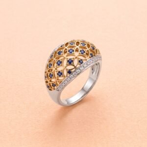 la bague cattedrale (copie)
